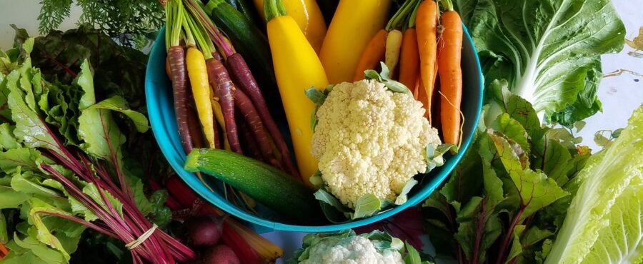 Dieta alkaliczna odkwaszanie organizmu