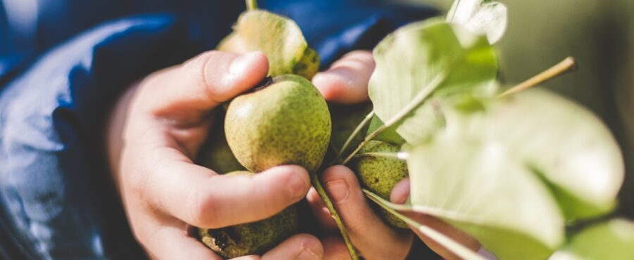 Dieta 1100 kcal | Catering dietetyczny 1100 kalorii